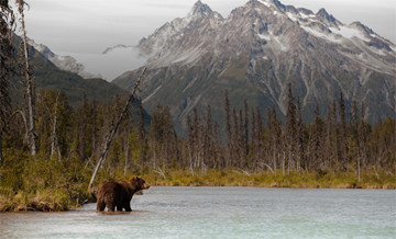 North America