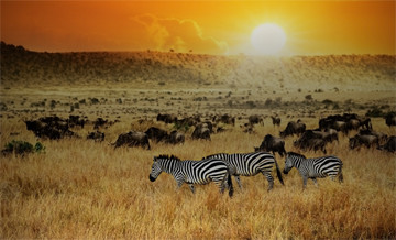 Africa