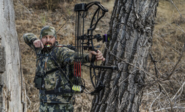 Bow Hunting